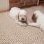 Handwoven Diamond Indoor/Outdoor Rug-30602158-124933149