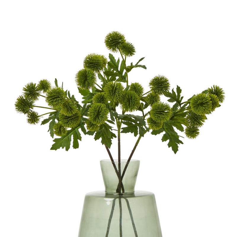 Anastasija Arrangement, Green