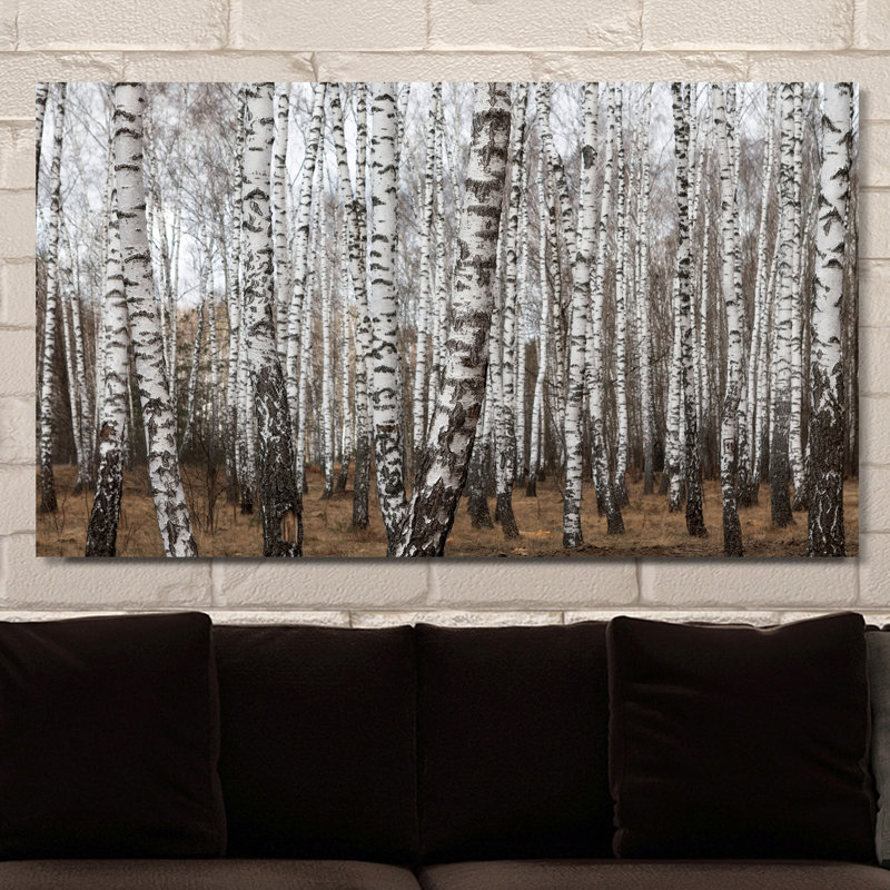 « birching environ 7 », reproduction de photo sur toile tendue, H 18 po x l 30 po x P 1 po
