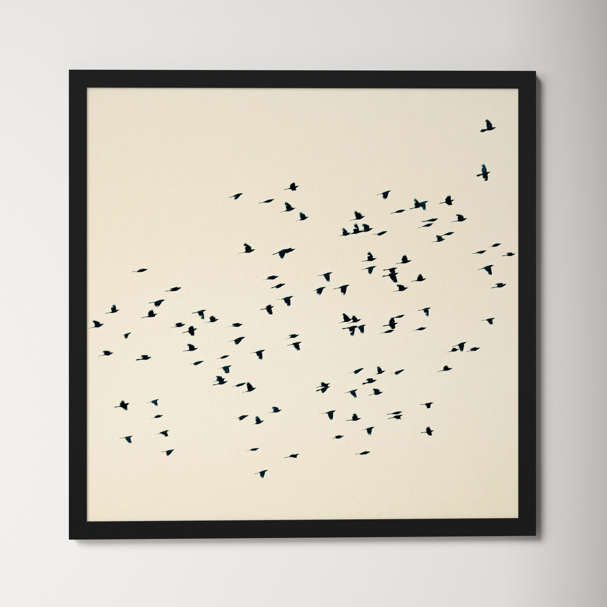 Soaring by Peter Dušek, Black, 36" H x 36" W x 1.25" D