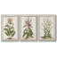 Munting Botanicals I 3 pièces-97709181-97709179