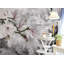 Murale de fleurs de magnolia Takako-789757196