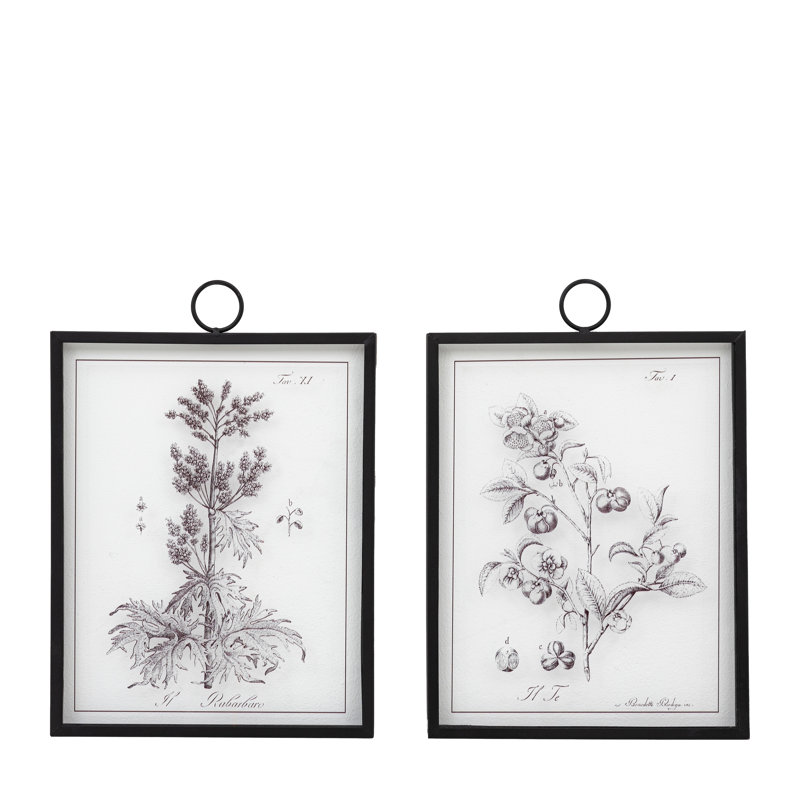 Petiole Art