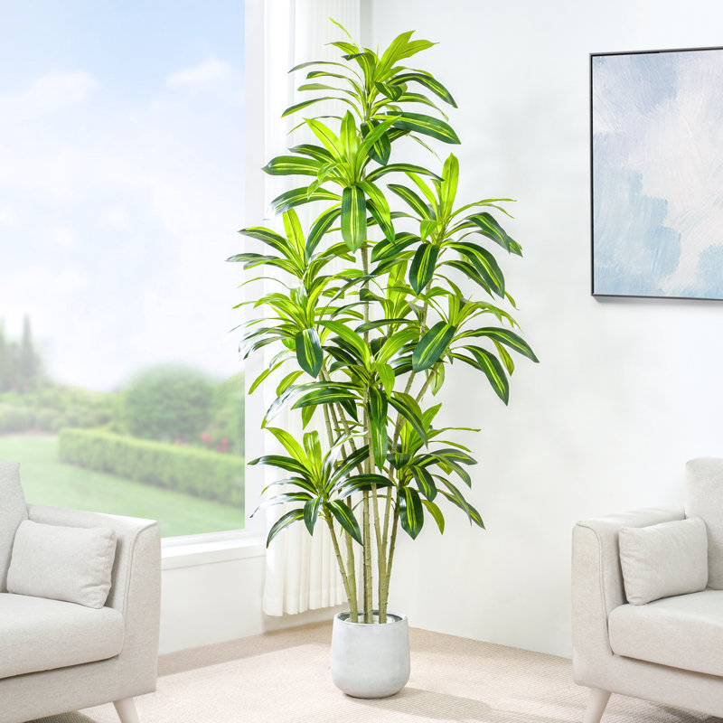 Anjely Faux Agave Plant, 200cm H  x 30cm W  x 30cm D