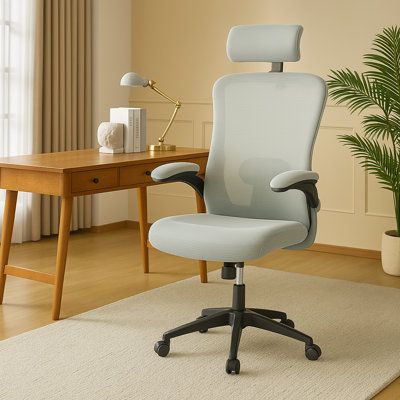 Kristmundur High Back Ergonomic Task Office Chair with Adjustable Lumber Support
