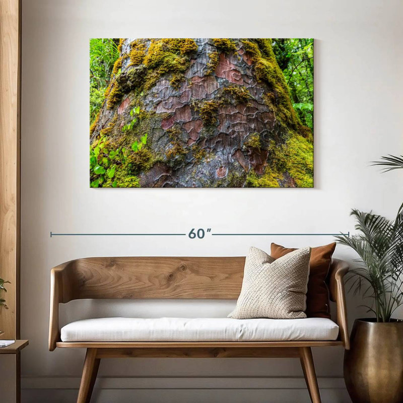 Mossy Kauri Tree, 30" H x 45" W
