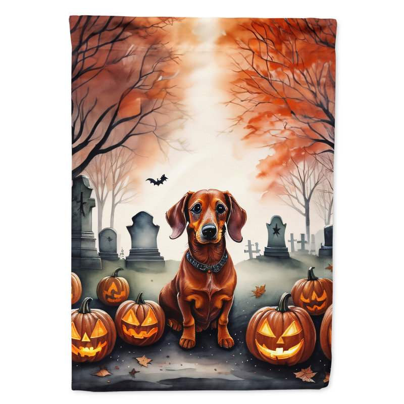 Drapeau de maison d'Halloween en polyester à double face H 40 po x l 28 po