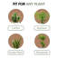 Support à plante d'intérieur et d'extérieur en bois H 7,5 po x l 9,8 po en bois, support à plante de sol simple en bois, support à plante naturelle, support pour plante Boho, assemblage requis (naturel, à l'exception des plantes en pot)-285209482-286038220