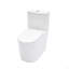 Toilette monobloc en céramique pour salle de bain, 12 po à chasse brute, 1,1 / 1,6 GPF, double chasse avec siège à fermeture en douceur, double chasse puissante CARTE 800G