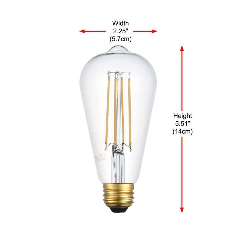 4 watts (équivalent à 40 watts), ST18LED, ampoule à intensité variable, blanc chaud (2 200 K) E26 / base moyenne (standard)
