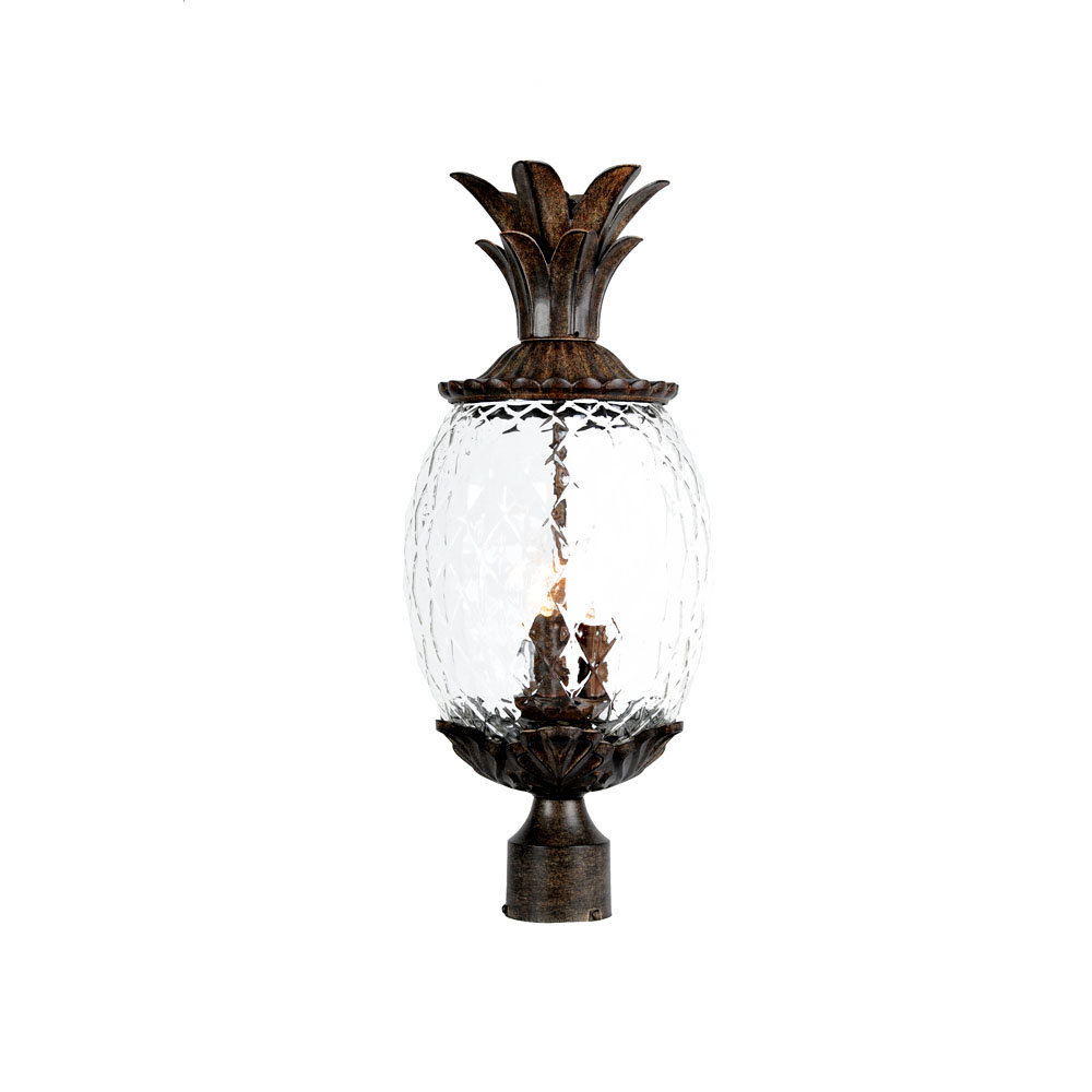 Arlesey Hardwired Lantern Head Highland Dunes Finish: Black Coral