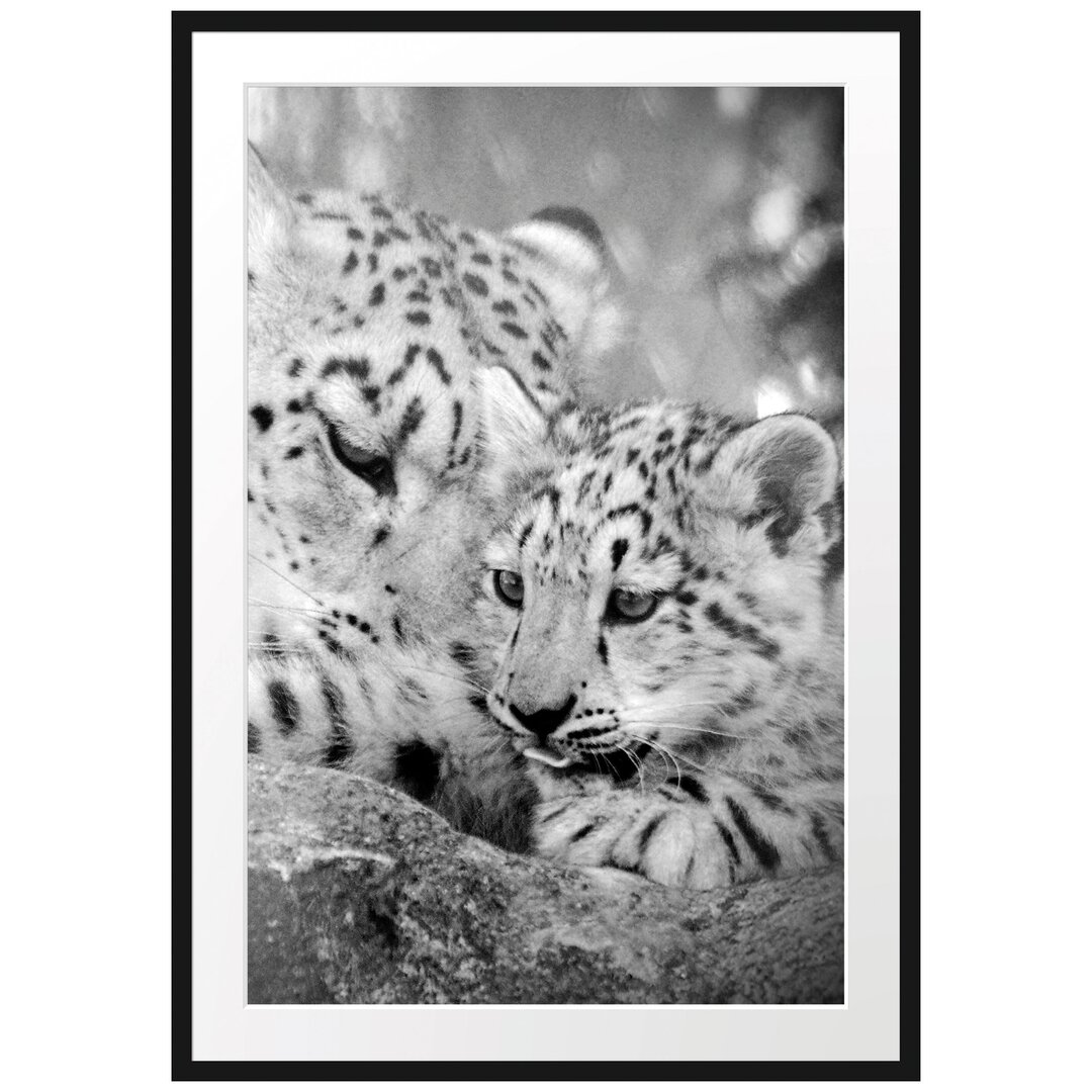 Gerahmtes Poster Leopard mit Jungtier