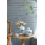 Ensemble de 2 pots Dorcus