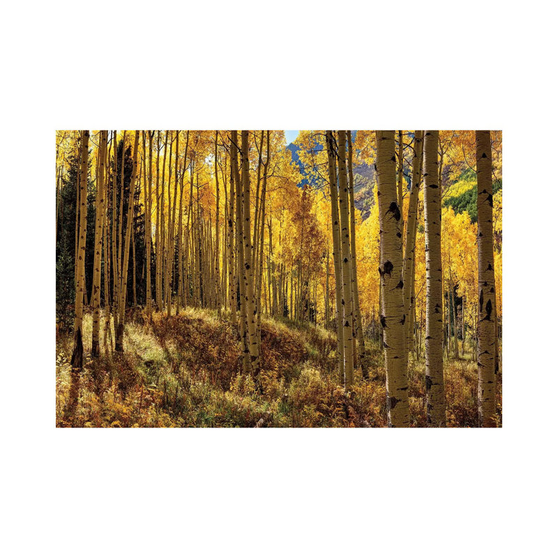«Autumn Aspen Forest Colorado USA» par Olena Art - Photographie de toile tendue, H 8 po x l 12 po x P 0,75 po