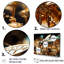 Gilded Expedition Gold Ant-107738511
