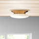 Alexander Single Light Glass LED Flush Mount