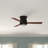 Yamashita 44'' Ceiling Fan with LED Lights-1337189113
