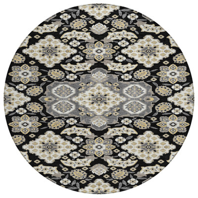 Machine Washable Indoor/Outdoor Xhevrie Black Rug