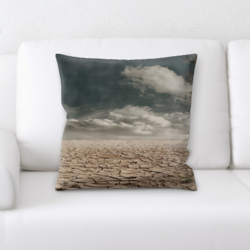 Desert Microsuede Reversible Throw Pillow