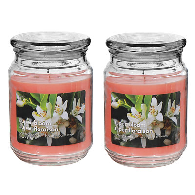 Bocal parfumé 18 oz avec couvercle en verre Superbloom - ensemble de 2
