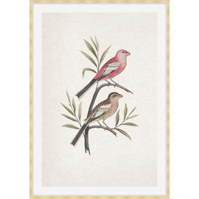 Nesting Navigators Ivory 4 Print