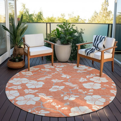  Machine Washable Indoor/Outdoor Chayden ACN1032 Rug