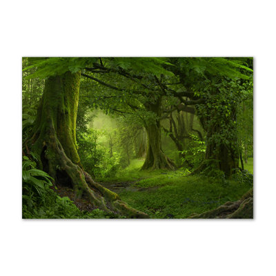 Tropical Jungle - Wrapped Canvas Print