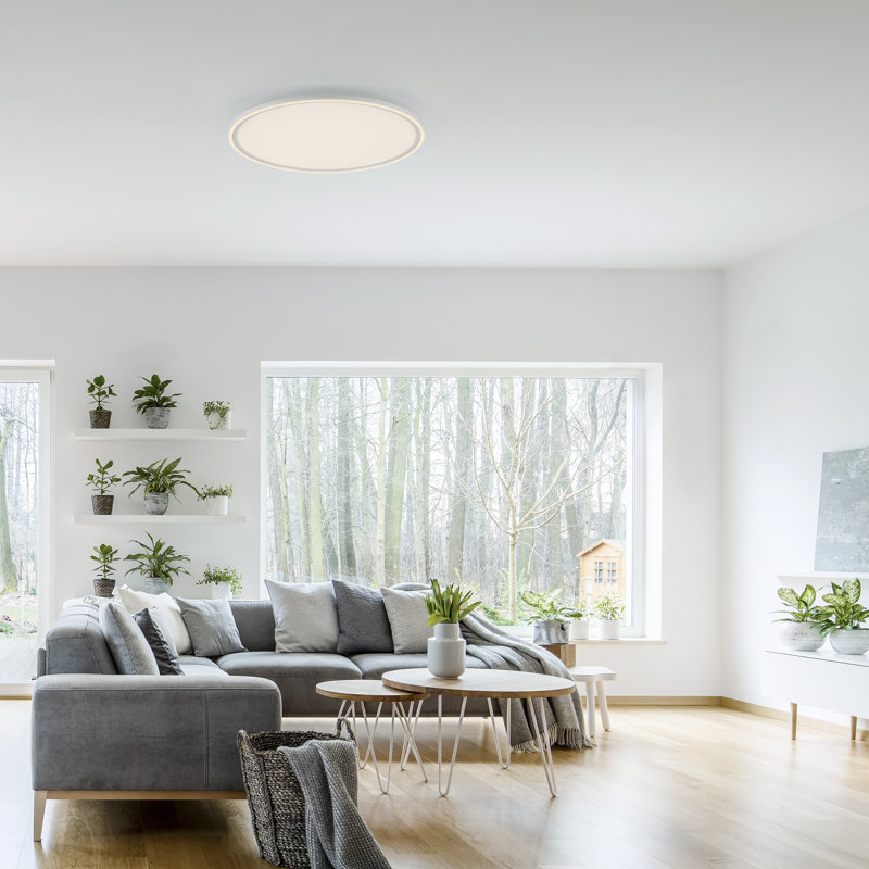 Edging LED Flush Mount