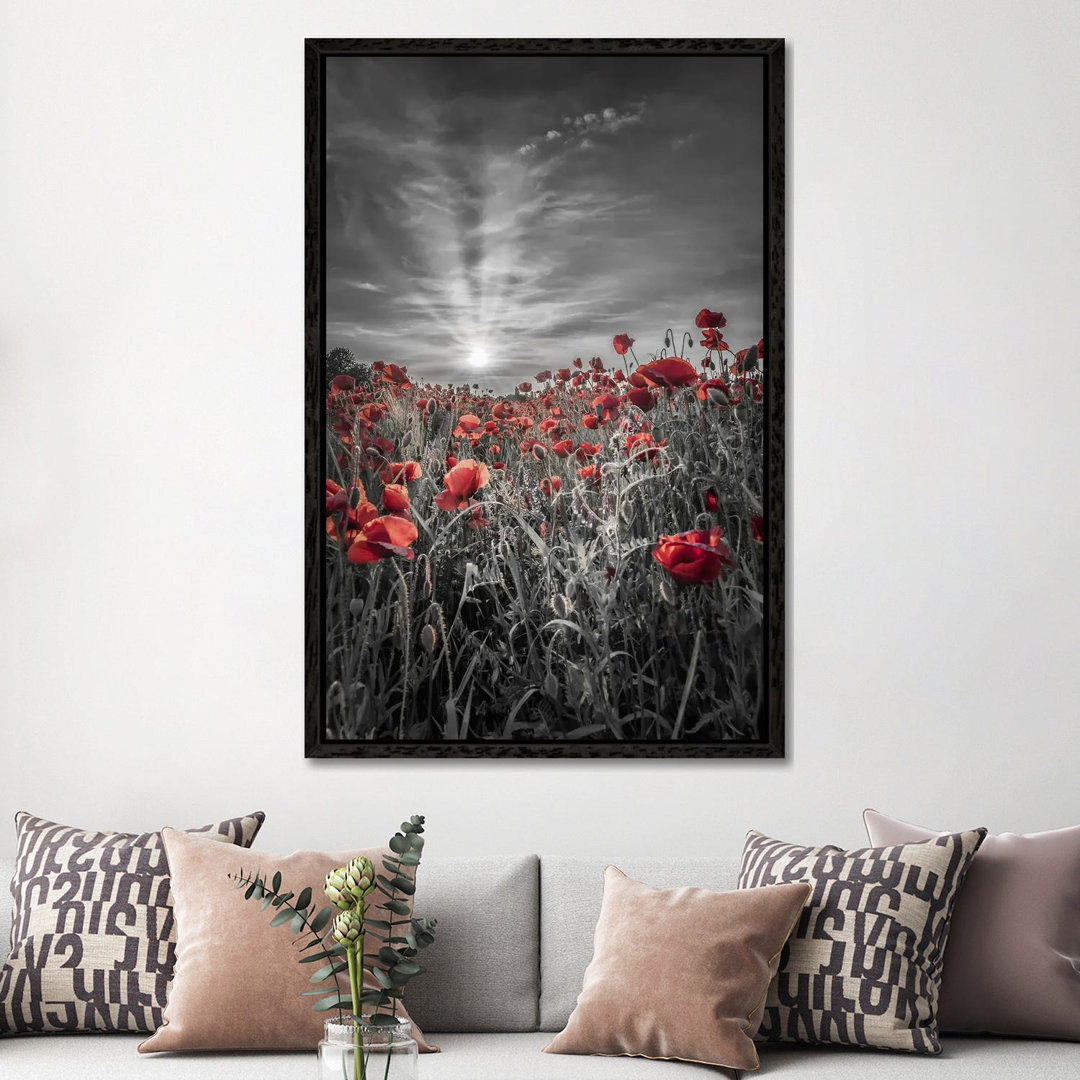 Lovely Sunset In A Poppy Field - Colorkey by Melanie Viola - Gallery-Wrapped Canvas Giclée on Canvas