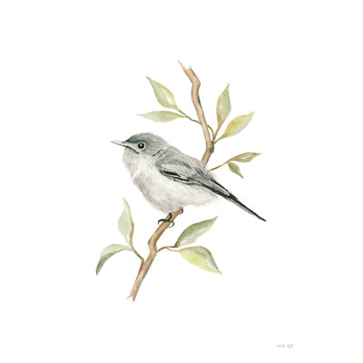 «Gnatcatcher Songbird» sur toile