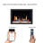 Litestar ZEF38VC-30 30-inch Smart Electric Fireplace Insert – WiFi App Control, Breathing Logs and Crushed Ice Rocks Decor, Multi Flame Colors, Crackling Sound, Built-In Fireplace Heater-1394694985