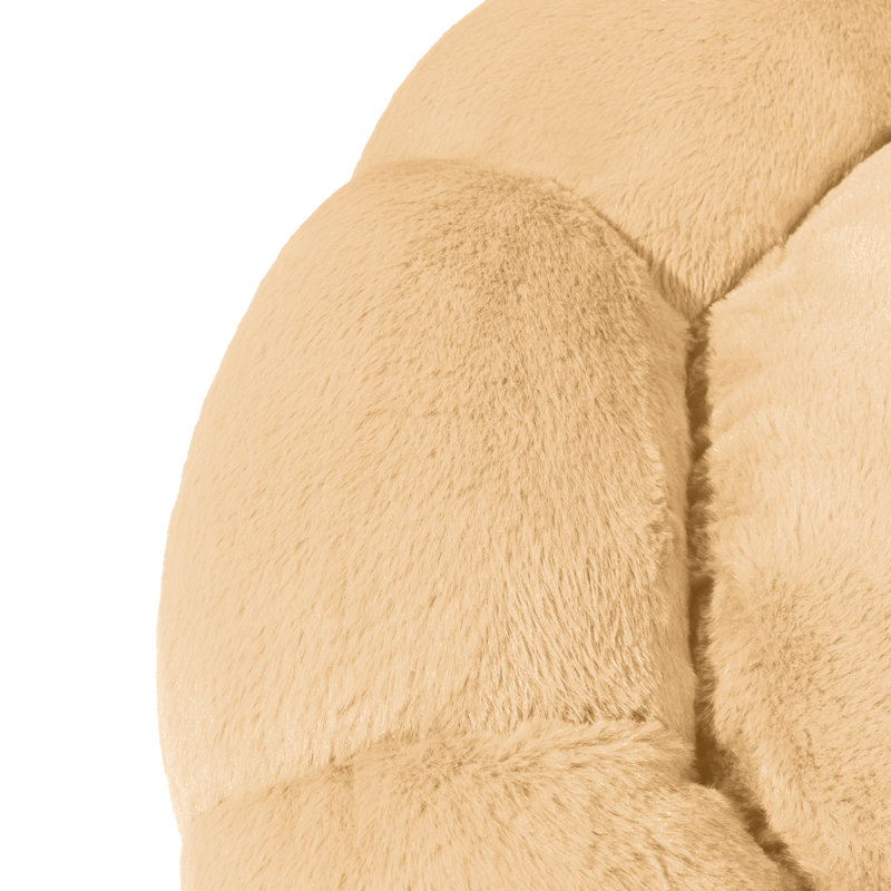 Lit pour chien Tucker Murphy Pet ™ Daisy, Or, H 4 po x l 45 po x P 45 po