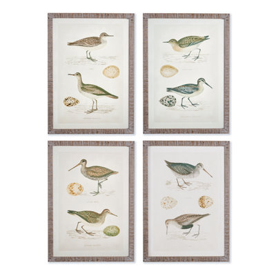 'Coastal Birds' - 4 Piece Picture Frame Print Set on Paper