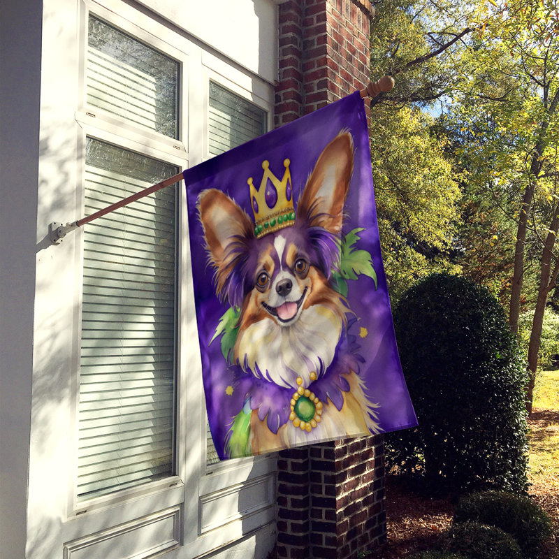 Double Sided 28'' H x 40'' W Polyester Mardi Gras House Flag