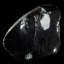 Obsidienne flocon de neige. Buffalo, Wyoming, États-Unis
