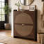 Armoire de rangement pour chaussures Solvane