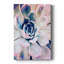 Pastel Succulent Beauty II - Photographie sur toile tendue-152905349
