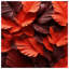 Tapis de bain texturé à feuilles de palmier-1255641468-1168126663
