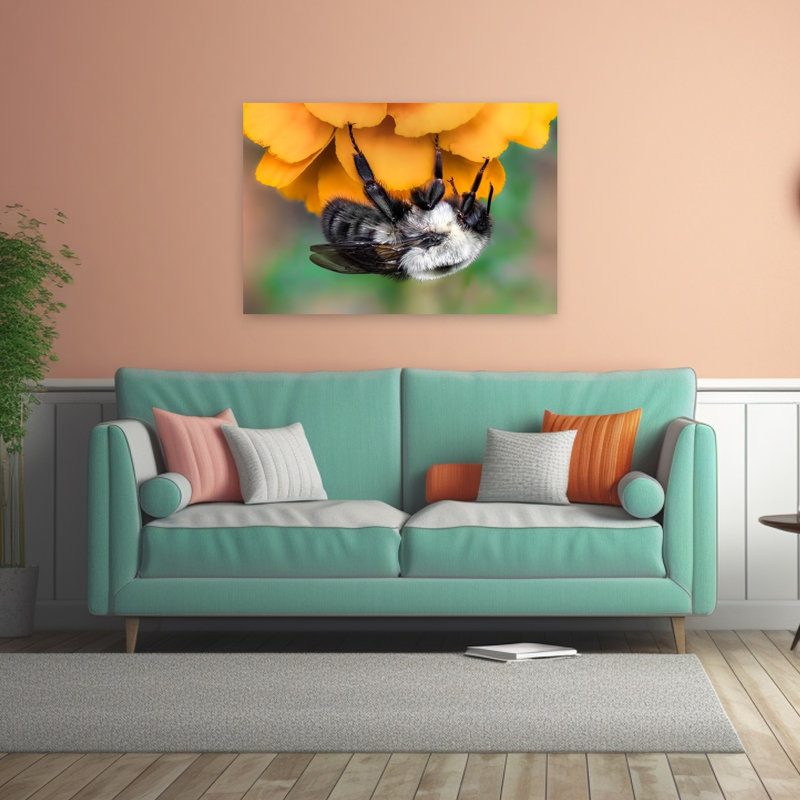 Abeille duveteuse sur fleur orange, illustration murale nature, H 32 po x l 48 po