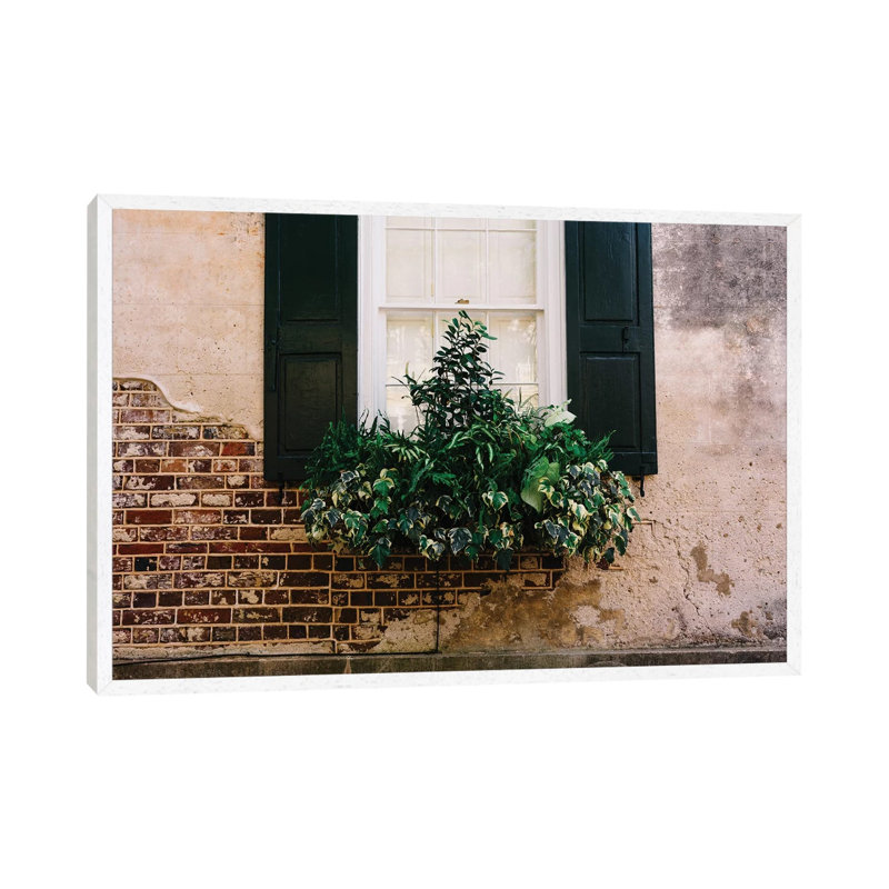 Charleston Walls IX by Bethany Young - Print on Canvas, 45.72cm H x 66.04cm W x 3.81cm D, White Framed