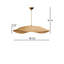 1 - Light Chandelier