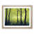 Oak Framed