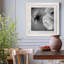 Renoncule foncé II - cadre photo-56949608-56949615-56897106