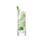 Gin Handmade Glass Highball Glass and Coupe
