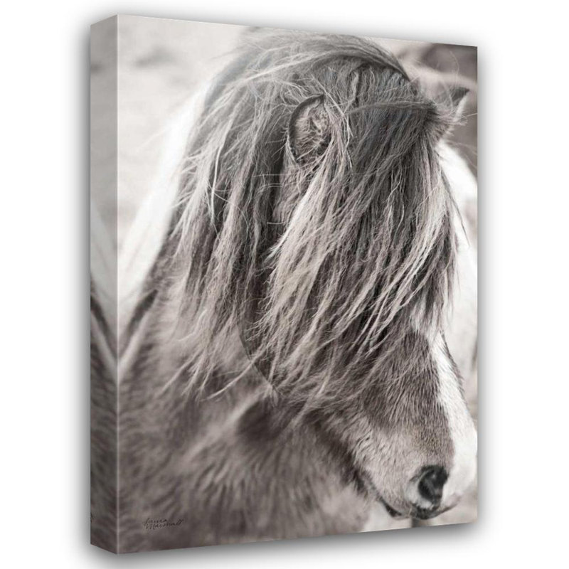 Art sur toile tendue par Red Barrel Studio® Marshall, Laura, Elska I BW, H 48 po x l 33 po