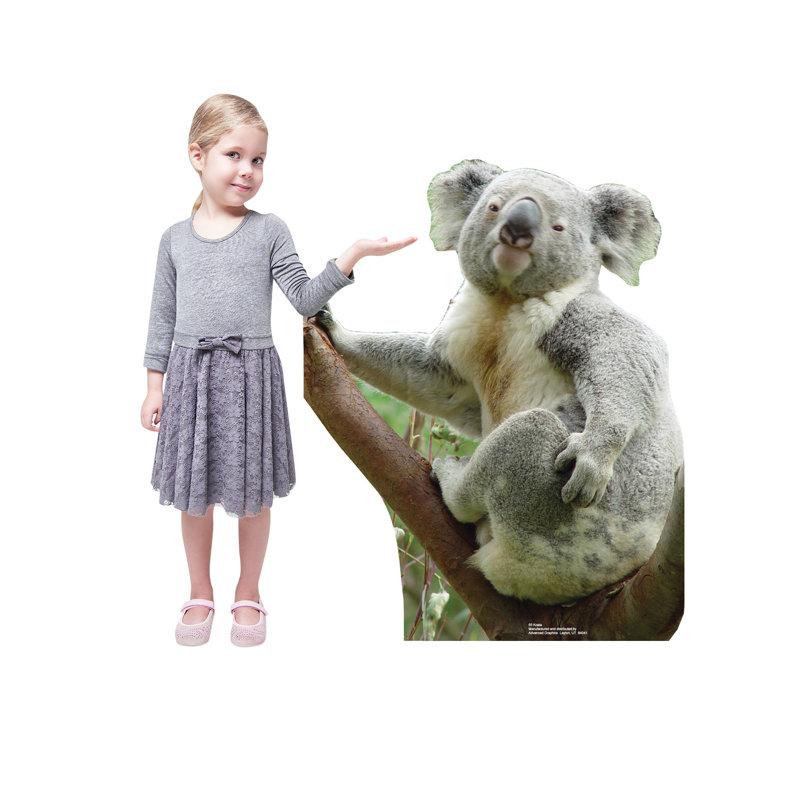 Life-Size Koala Bear Cardboard Standup Prop