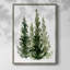 «Simple Evergreen II», reproduction encadrée - bois massif-1249500743