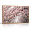 Art mural sur toile de fleurs de cerisier rose sur un lac-1678283976