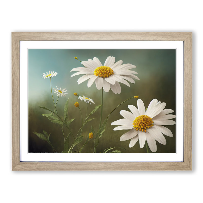 Artsy Daisy Flowers - Framed Print, 25cm H x 34cm W, Grey