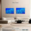 Banc de poissons vivaneaux-107959614